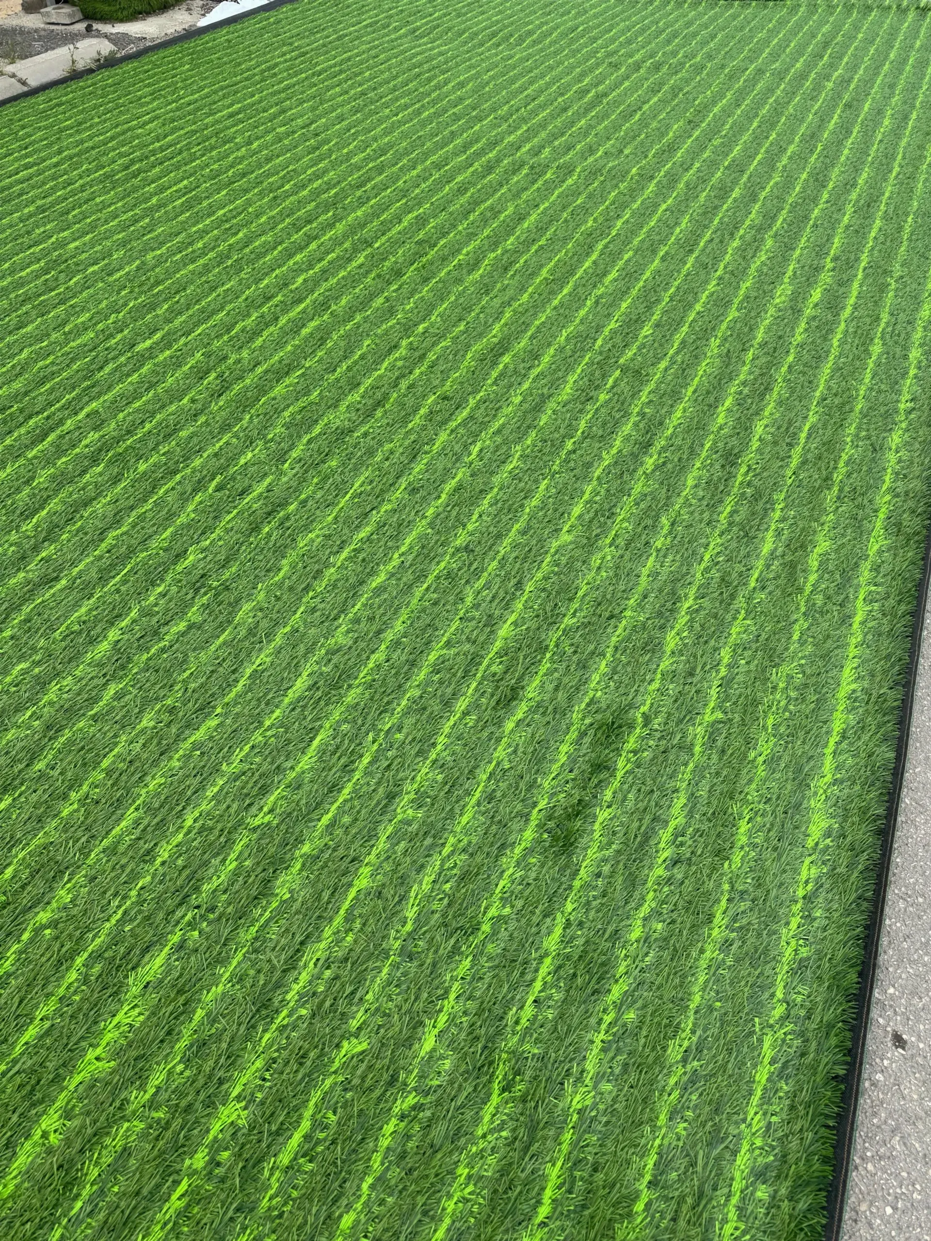 çim halı dekorasyon